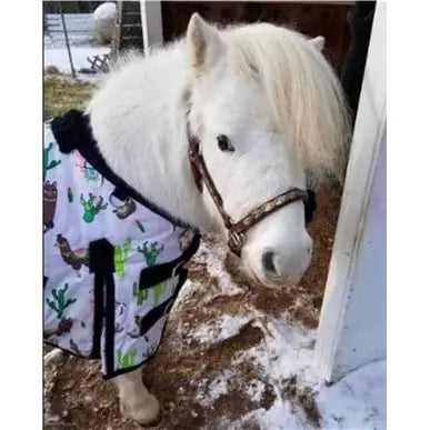 Star Point Mini-Pony Fly Sheet - Size 44-46", Teal, UV Mesh With Removable Hood