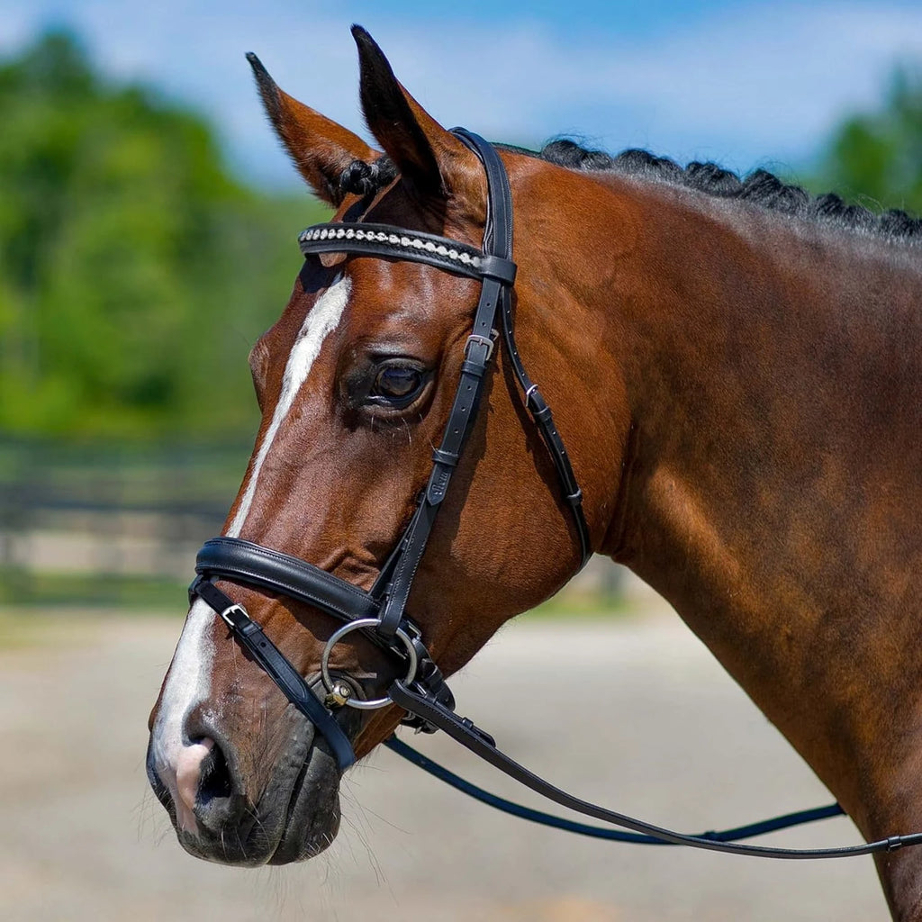 Cheval anglais tout usage chasseur de saut rembourré cuir Cheval anglais tout usage chasseur de saut rembourré cuir