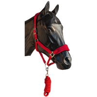 PRIME Summer Deals NYLON HALTER WITH FLEECE NOSE AND LEAD
