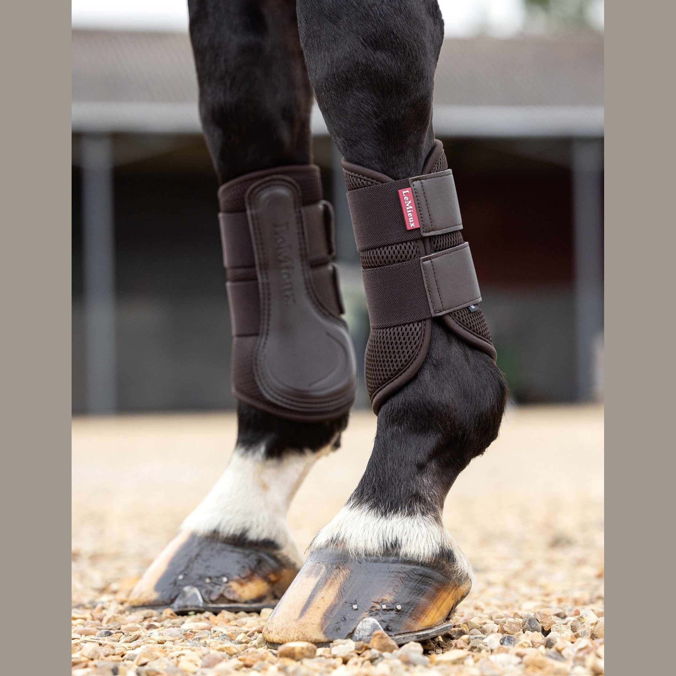 LEMIEUX MESH BRUSHING BOOT