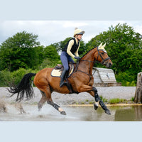 LEMIEUX SUEDE CLOSE CONTACT SADDLE PAD - SPRING 2025