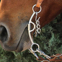 PROFESSIONAL'S CHOICE DERBY BIT - 3 PEICE TWIST