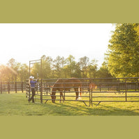 (Clearance) Premier 6' Tall Round Pen 35'