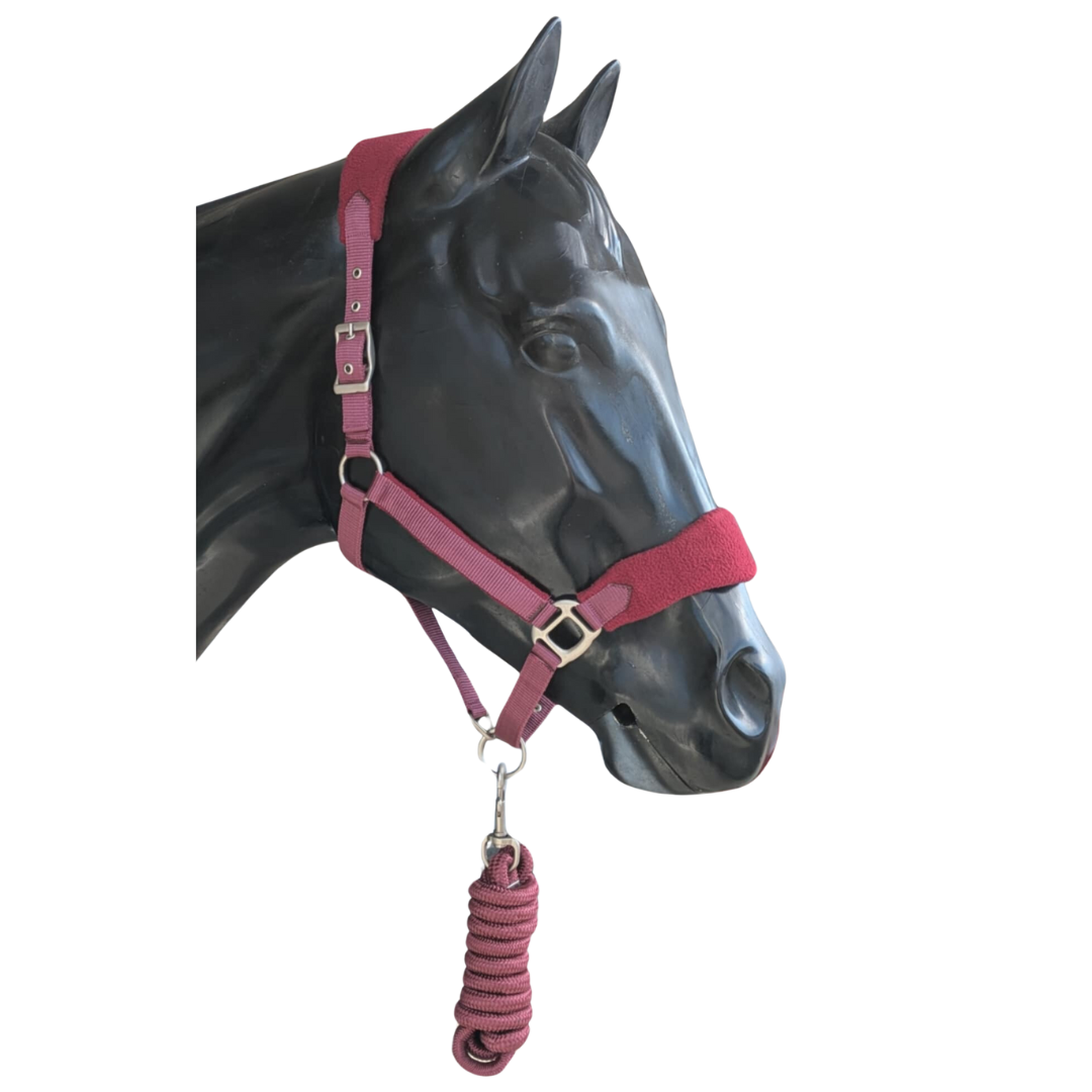 PRIME Summer Deals NYLON HALTER WITH FLEECE NOSE AND LEAD