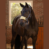 LEMIEUX VOGUE HEADCOLLAR & LEAD ROPE - SPRING 2025