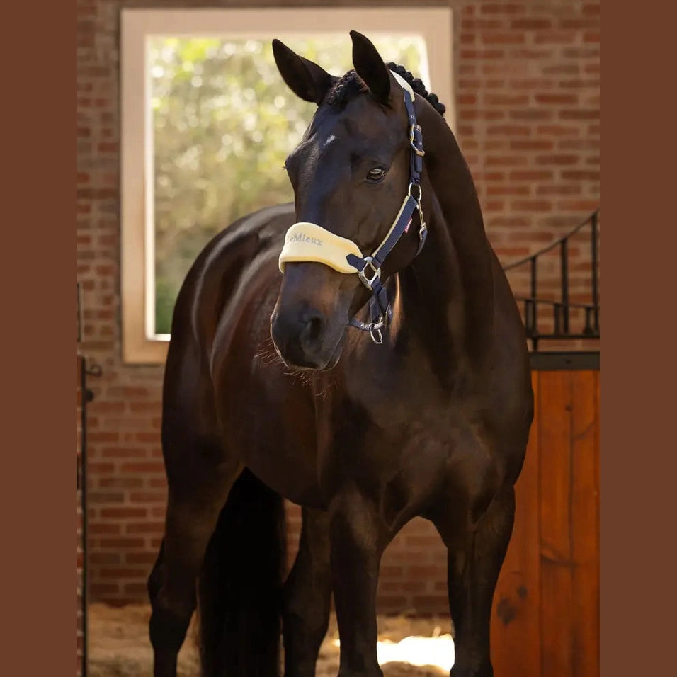 LEMIEUX VOGUE HEADCOLLAR & LEAD ROPE - SPRING 2025