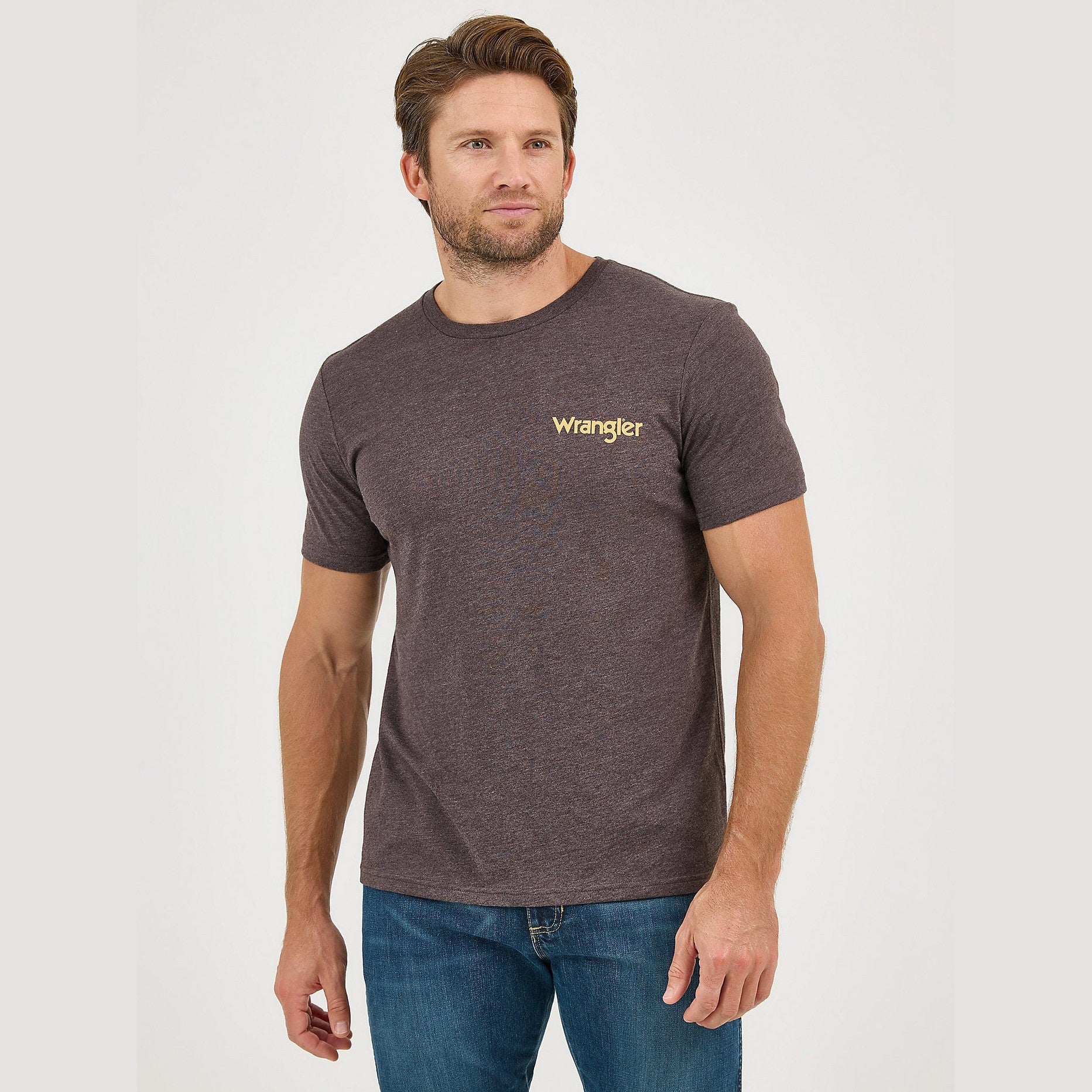 WRANGLER MENS BACK GRAPHIC TEE - DESERT BISTRE