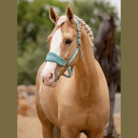 LEMIEUX VOGUE HEADCOLLAR & LEAD ROPE - SPRING 2025
