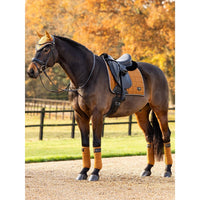 LEMIEUX LOIRE CLASSIC DRESSAGE SQUARE PAD - FALL 2024