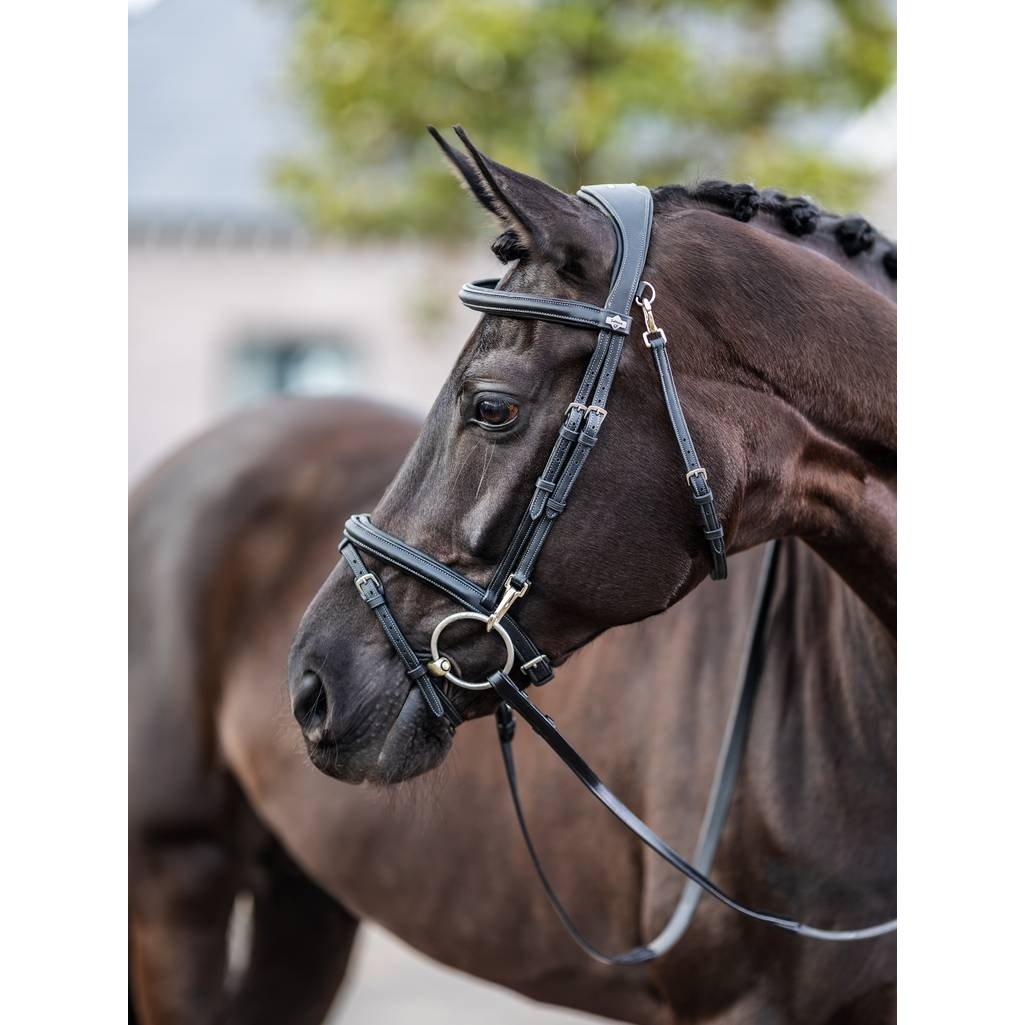 LEMIEUX KUDOS WORK BRIDLE - BLACK