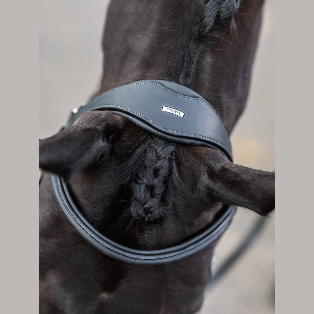 LEMIEUX KUDOS WORK BRIDLE - BLACK