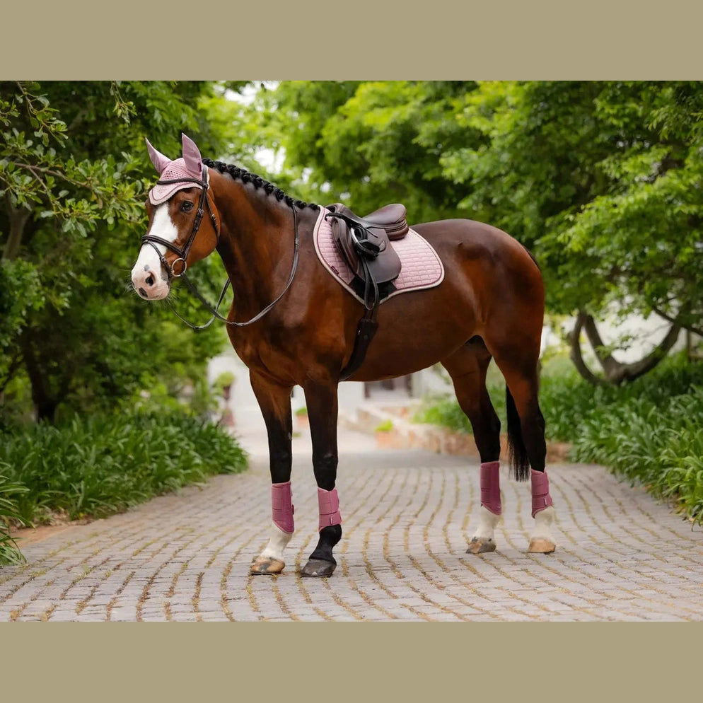 LEMIEUX SUEDE CLOSE CONTACT SADDLE PAD - SPRING 2025