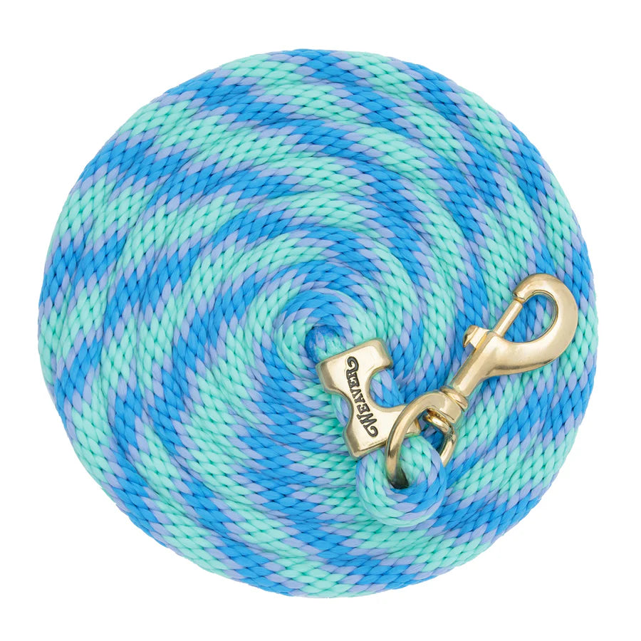 WEAVER LEATHER POLY LEAD ROPE 10' WITH SOLID BRASS SNAP - STRIPED SPIRAL TWIST