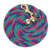 WEAVER LEATHER POLY LEAD ROPE 10' WITH SOLID BRASS SNAP - STRIPED SPIRAL TWIST