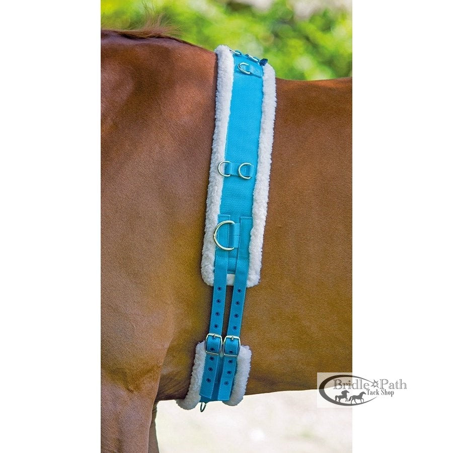 SHIRES SURCINGLE WITH FLEECE PADDING
