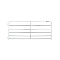 Galvanized Gate 10FT