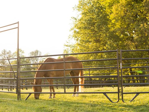 Round Pens