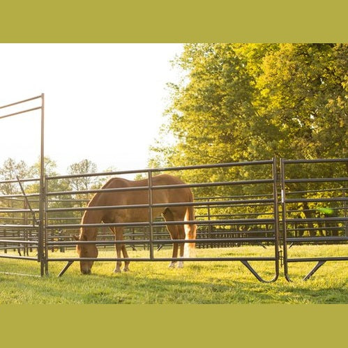 Round Pens