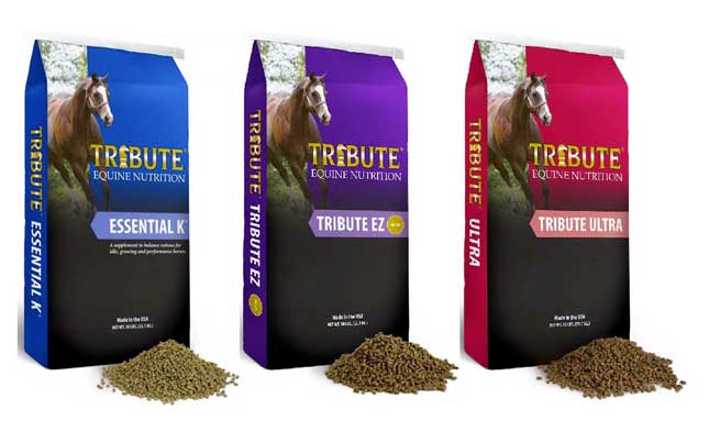 Horse Feed