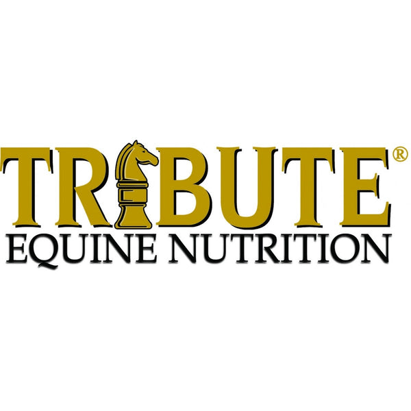 Tribute Feed