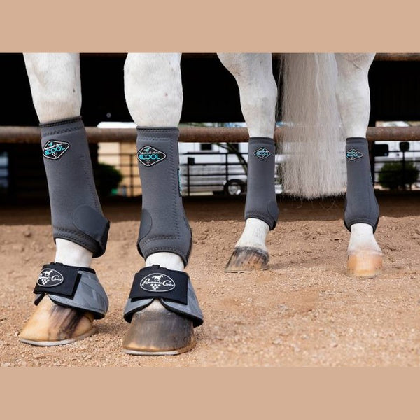Horse Accessories
