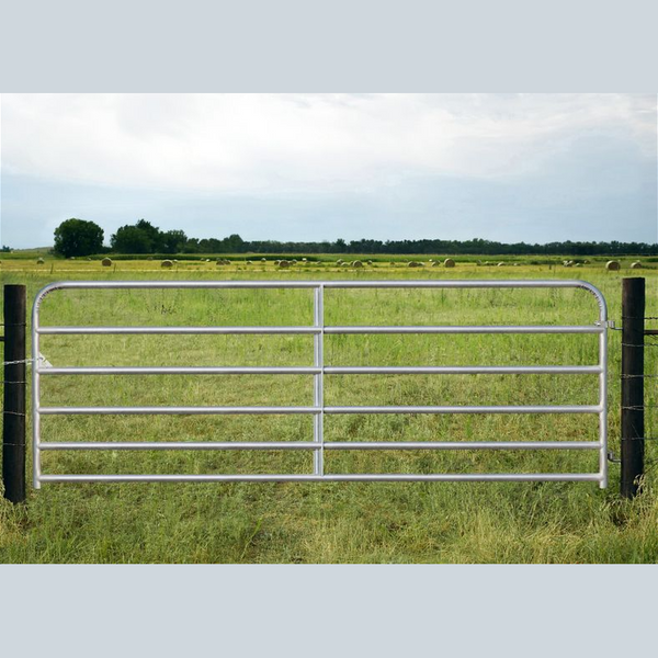 Galvanized Gates
