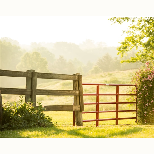 Red Gate gates
