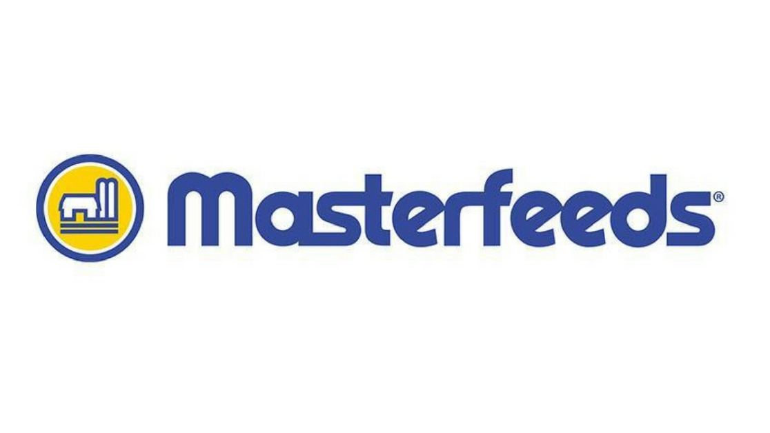 Masterfeeds