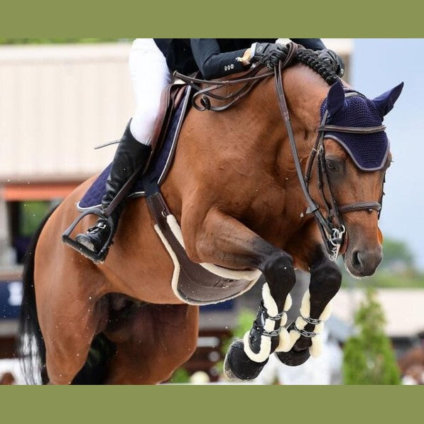 English Saddles