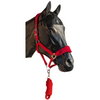 FLEECE NOSE NYLON BREAKAWAY HALTER WITH LEAD