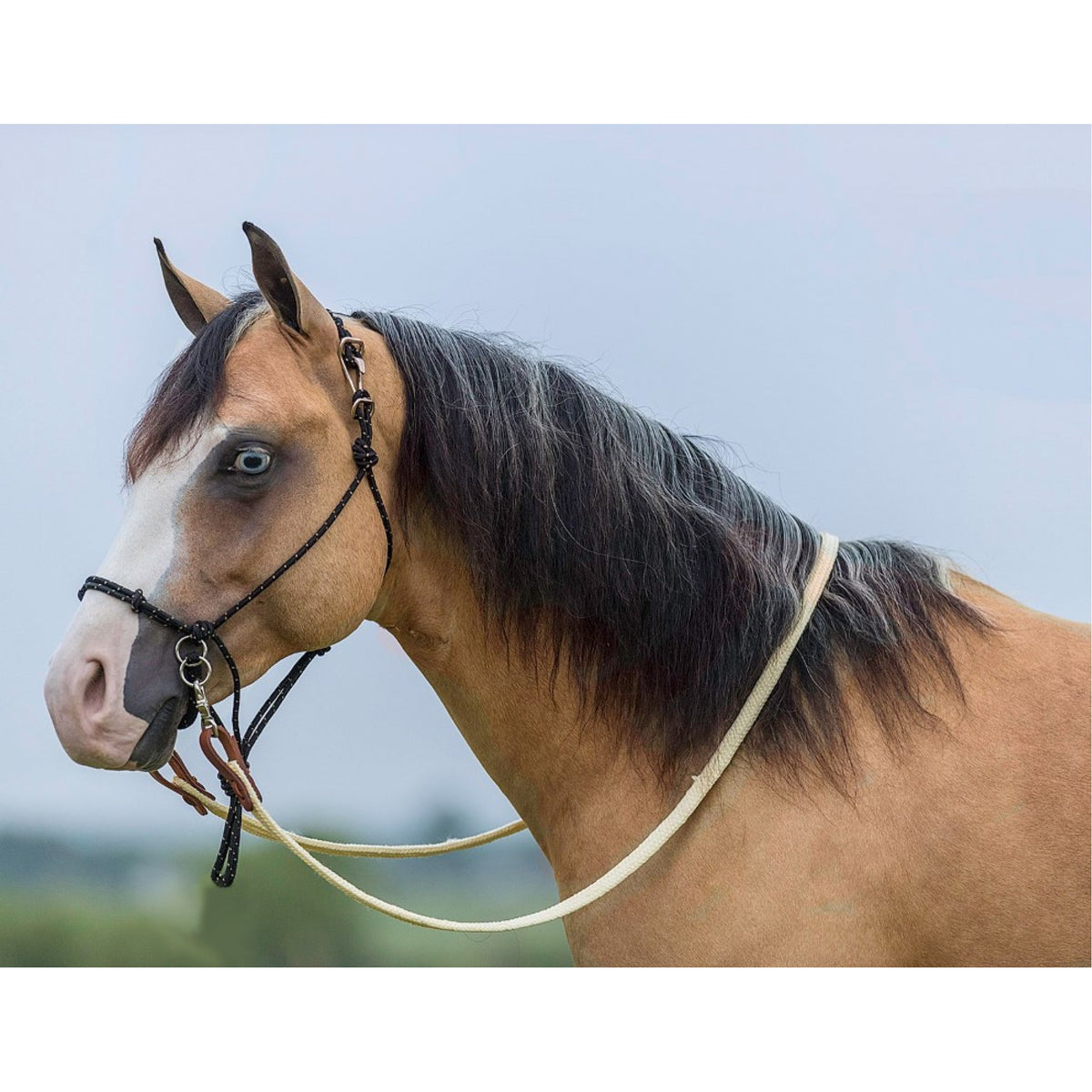 MUSTANG BITLESS HALTER BRIDLE