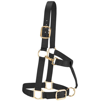 PORTE-COURANT RÉGLABLE EN NYLON WEAVER - TAILLE MOYENNE