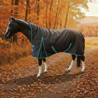 Nordic Star Turnout - 1200D - 100G - High Neck - Charcoal/Teal Binding