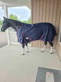 Nordic Star Turnout - 1200D - 100G - Detach-A-Neck - Navy/Plum