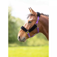 SHIRES FLEECE LINED HALTER