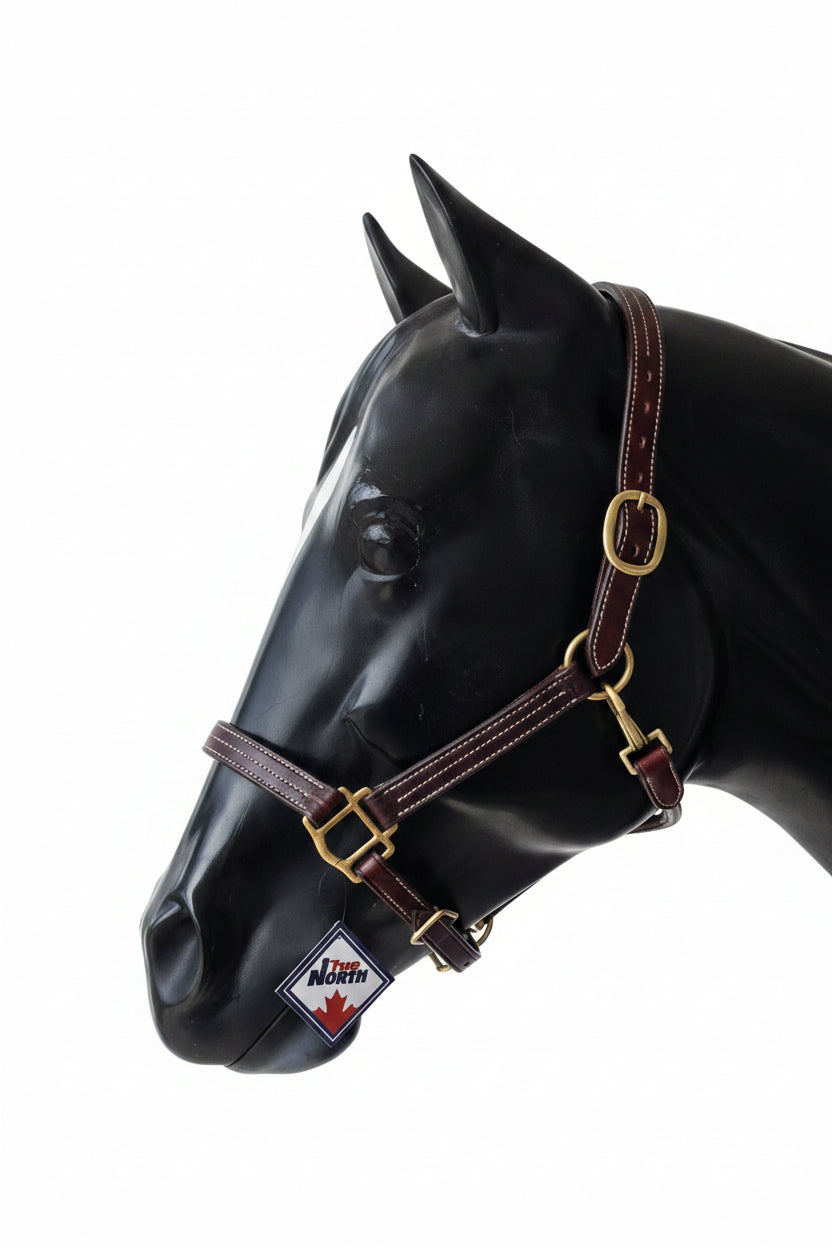Triple Stitch Leather Halter - Havana