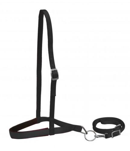 PONY NYLON NOSEBAND & TIE DOWN