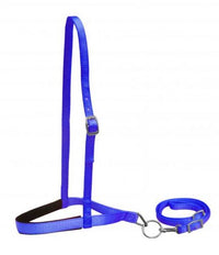 PONY NYLON NOSEBAND & TIE DOWN