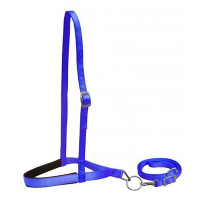 PONY NYLON NOSEBAND & TIE DOWN