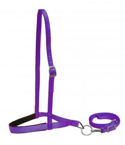 PONY NYLON NOSEBAND & TIE DOWN