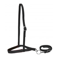 Premium Nylon Noseband and Tiedown - Horse