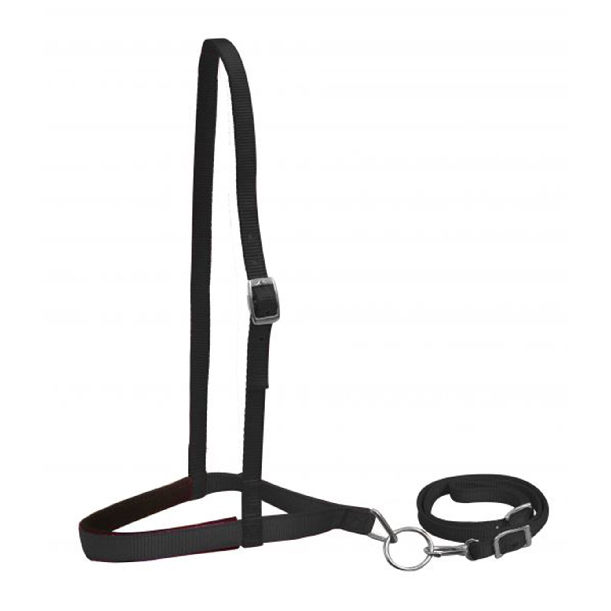 Premium Nylon Noseband and Tiedown - Horse