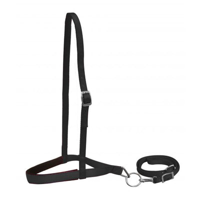 Premium Nylon Noseband and Tiedown - Horse
