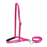 Premium Nylon Noseband and Tiedown - Horse