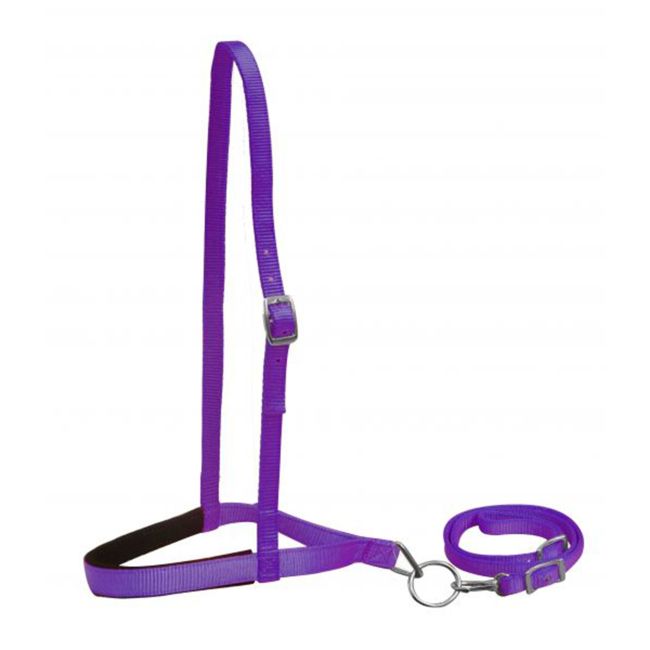 Premium Nylon Noseband and Tiedown - Horse