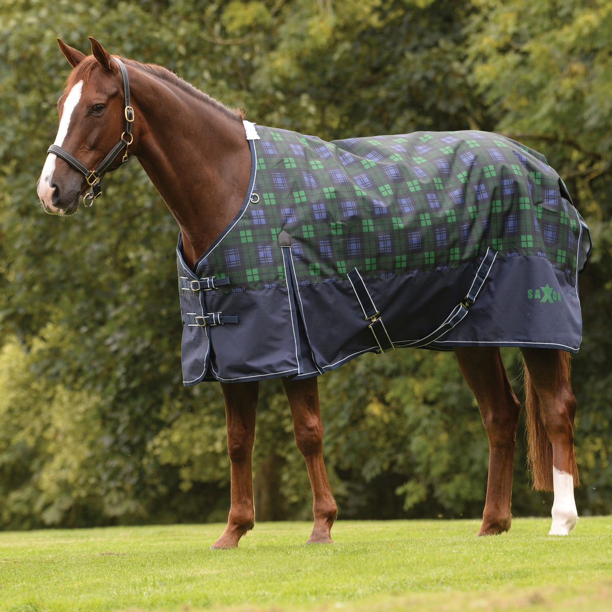 WEATHERBEETA SAXON 1200D STANDARD NECK HEAVY(300G) TURNOUT - BLACKWATCH PLAID (Clearance)