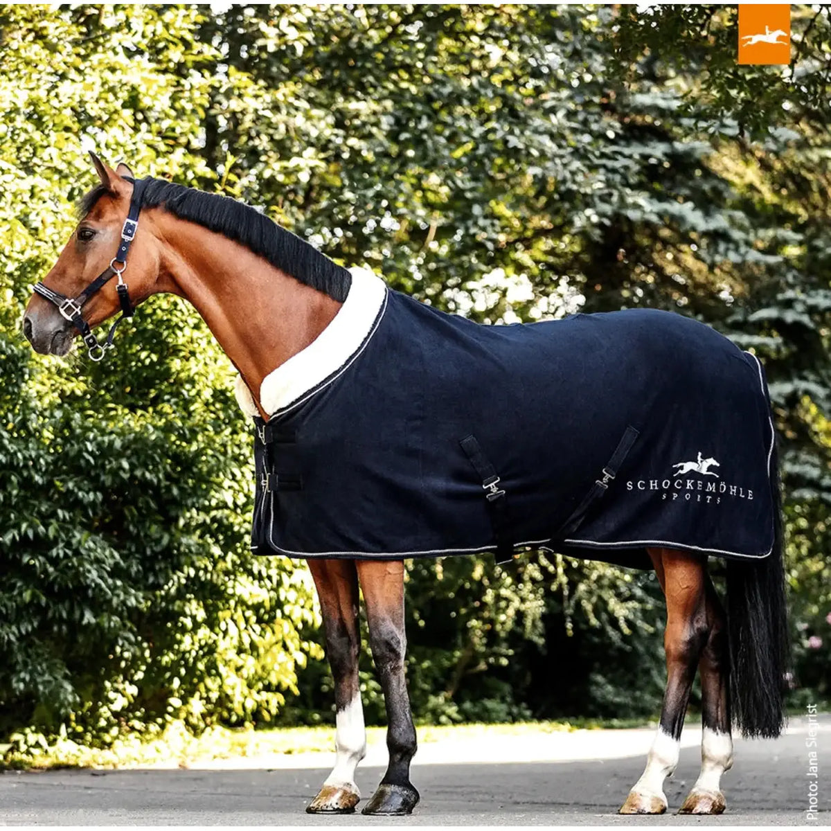 Schockemohle Premium Fleece Rug