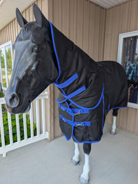 Nordic Star Turnout - 1200D - 200G - Detach-A-Neck - Black/Royal Blue Binding