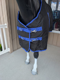 Nordic Star Turnout - 1200D - 200G - Detach-A-Neck - Black/Royal Blue Binding