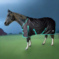 GOLIATH 600D RAIN SHEET - BLACK/AQUA BINDING